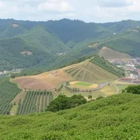 vagas de emprego São José dos Campos