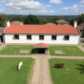 Castramóvel