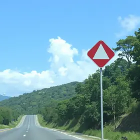 CNH suspensa e cassada