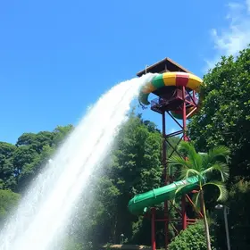 Turbogã