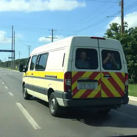 van escolar bate contra árvore